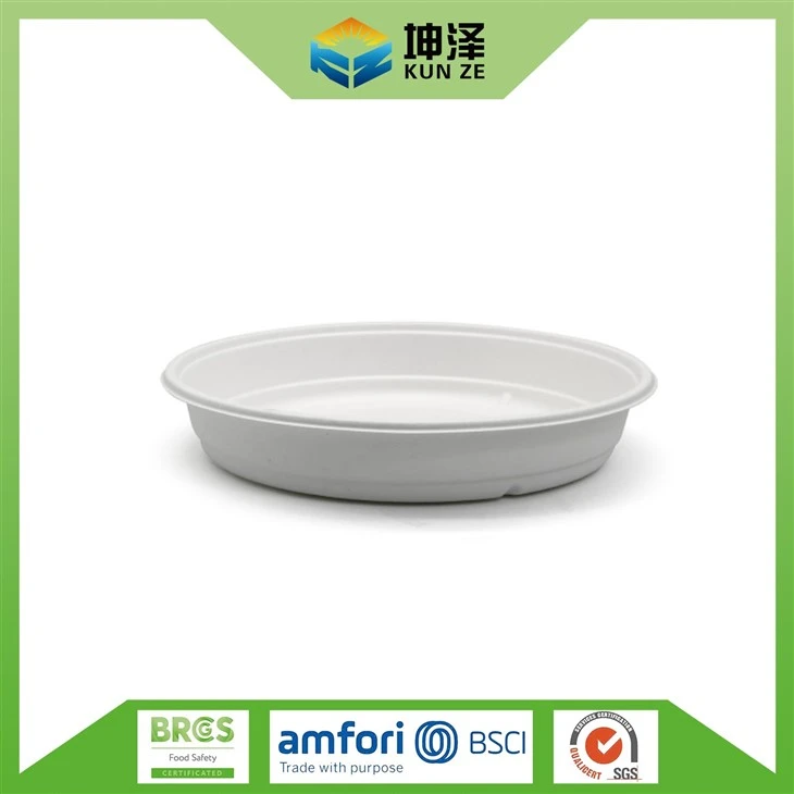 Bagasse Compostable Basin