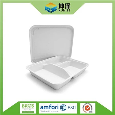 Δίσκος φαγητού με 3 διαμερίσματα με καπάκι