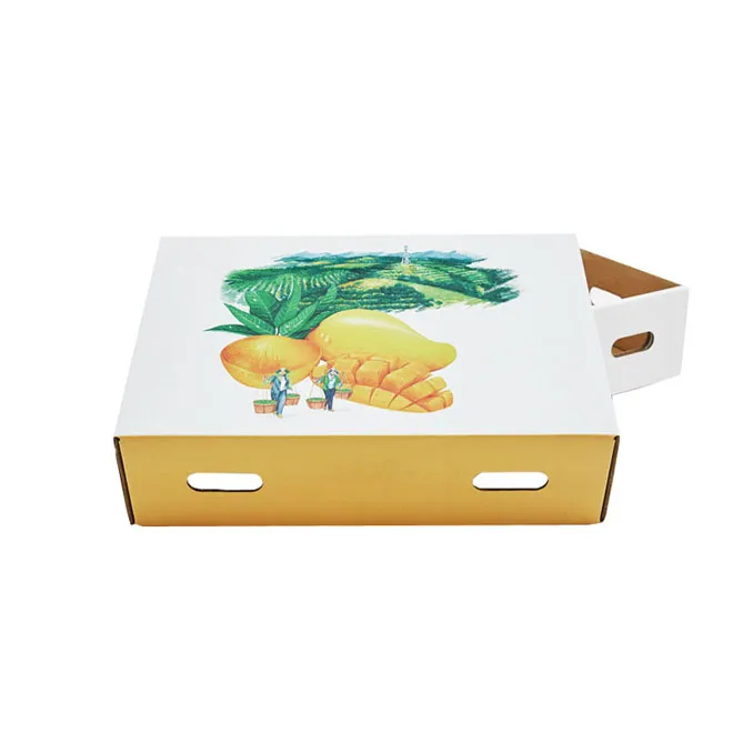 Mango Corrugated Box